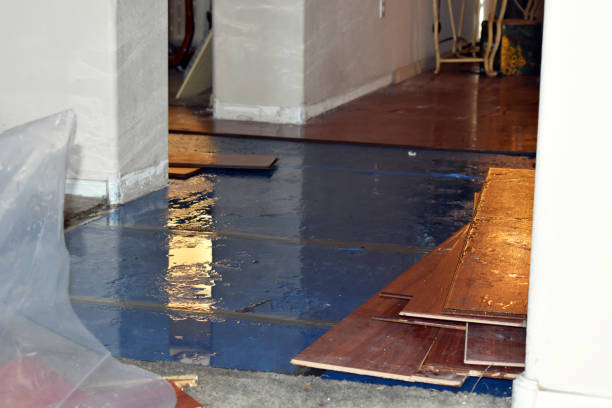 Professional Basement Flood Cleanup technician working in Manasquan, NJ